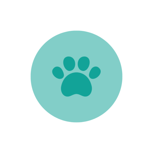 Dog Bites